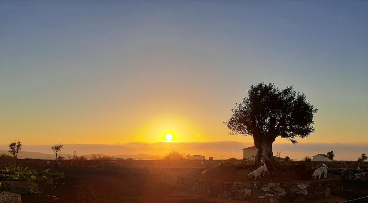 דירות פוארטו דל רוסריו Agriturismo El Bounty1 מראה חיצוני תמונה